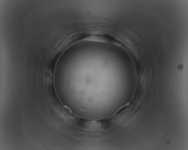 X0000093590421200710221527