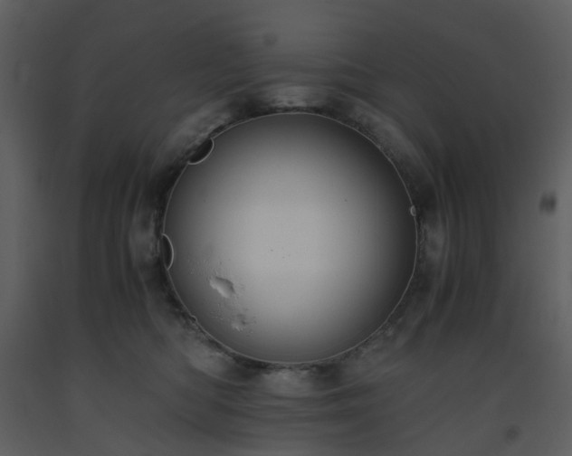X0000093590422200710221527