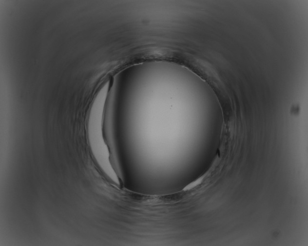 X0000093590423200710221527