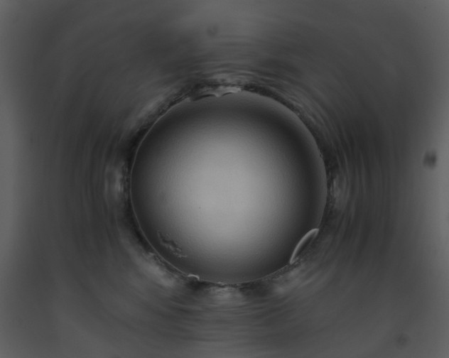 X0000093590424200710221527