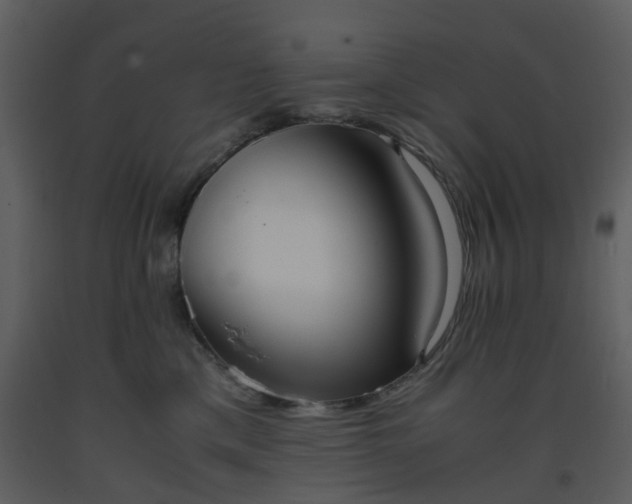 X0000093590425200710221527