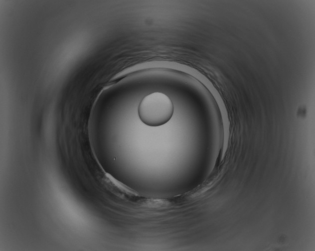 X0000093590429200710221527