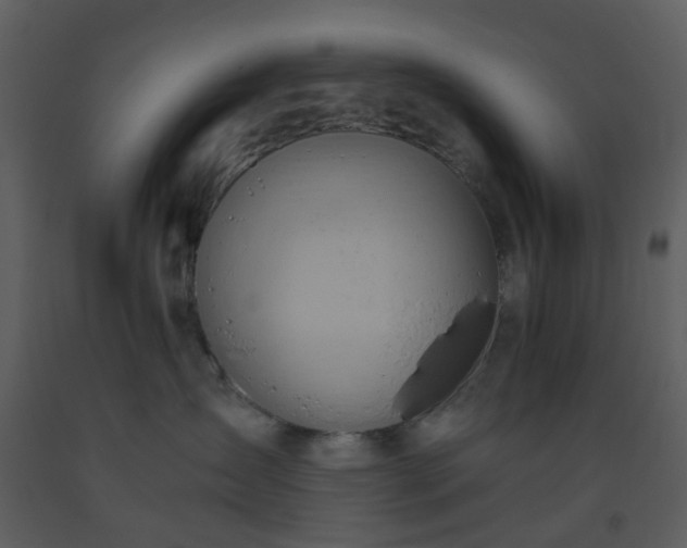 X0000093590431200710221527
