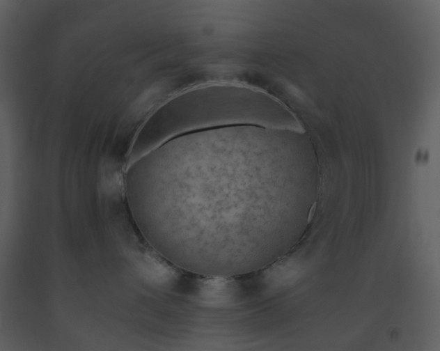 X0000093590432200710221527