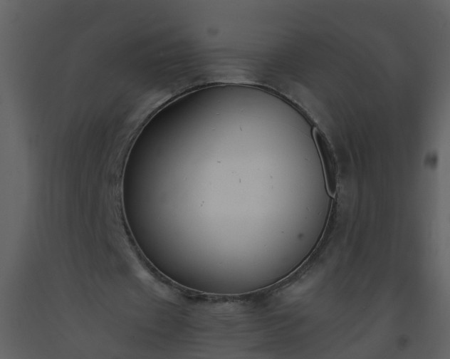 X0000093590433200710221526