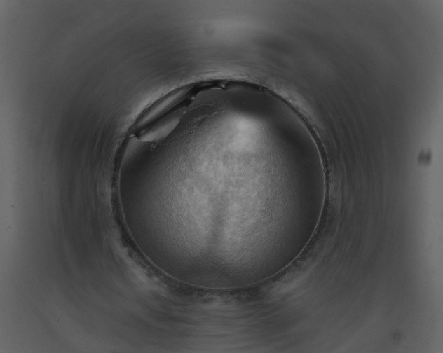 X0000093590434200710221526