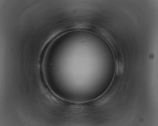 X0000093590435200710221526