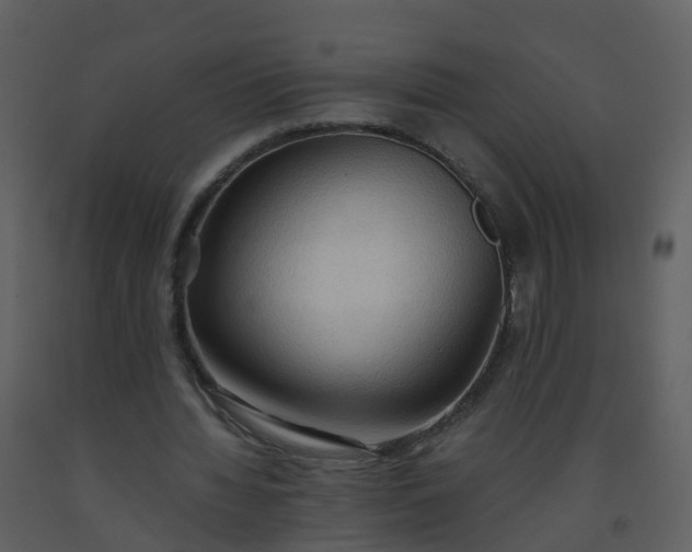 X0000093590436200710221526