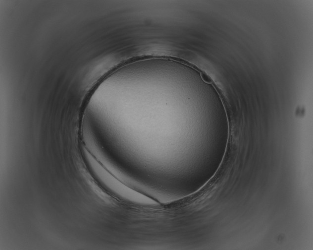 X0000093590437200710221526