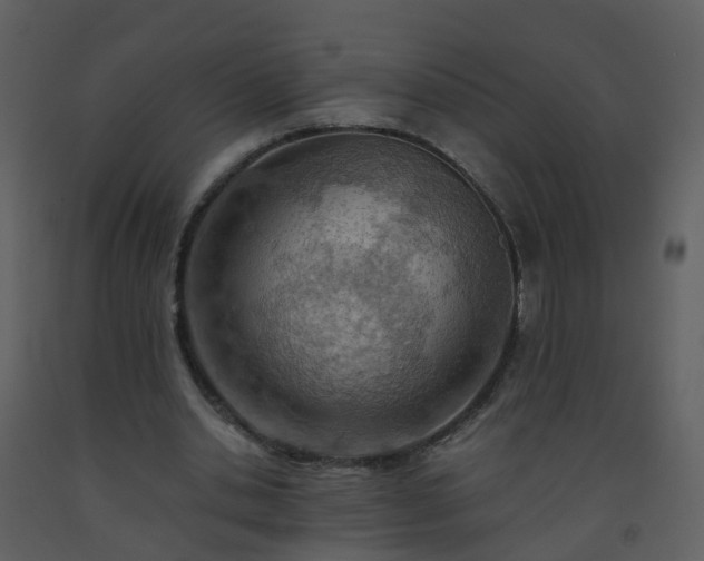 X0000093590438200710221526