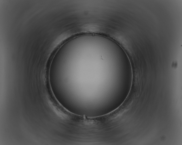 X0000093590439200710221526