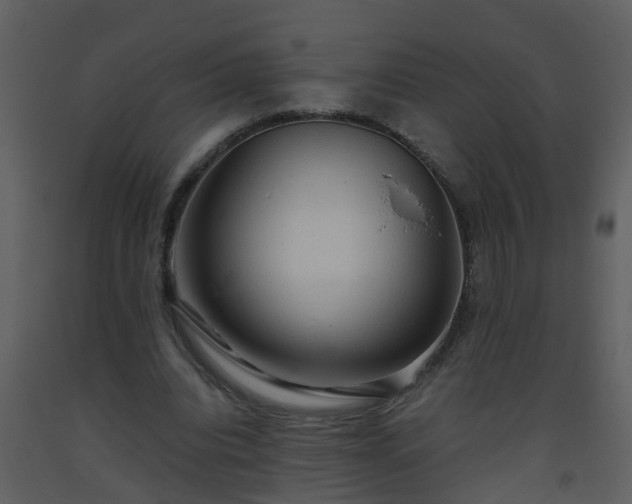 X0000093590440200710221526