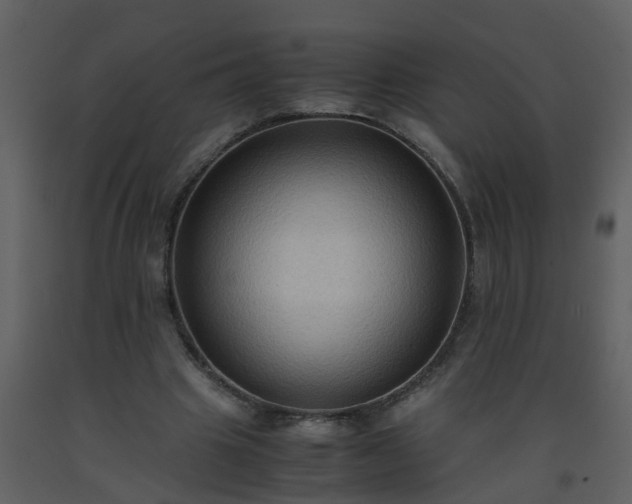 X0000093590441200710221526