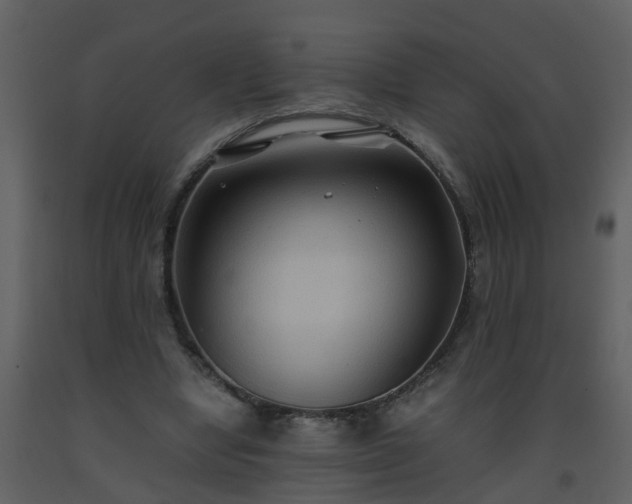 X0000093590442200710221526