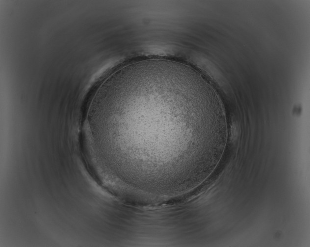 X0000093590444200710221526