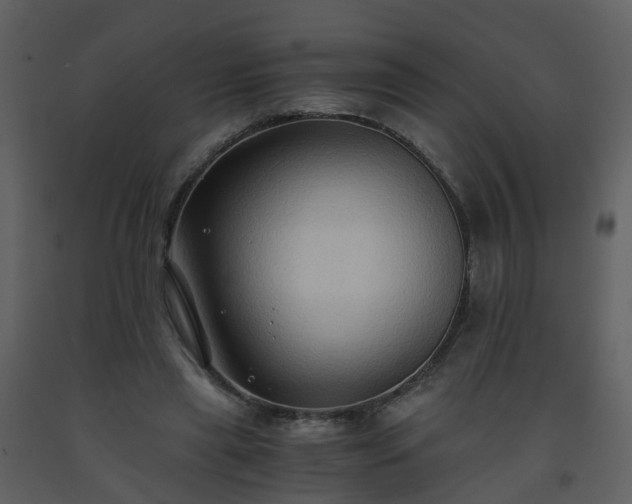 X0000093590445200710221526