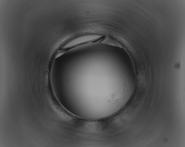 X0000093590446200710221526