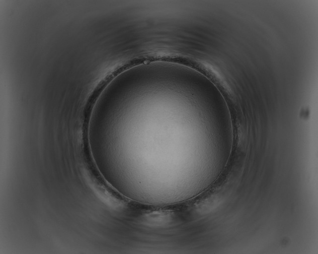 X0000093590447200710221526