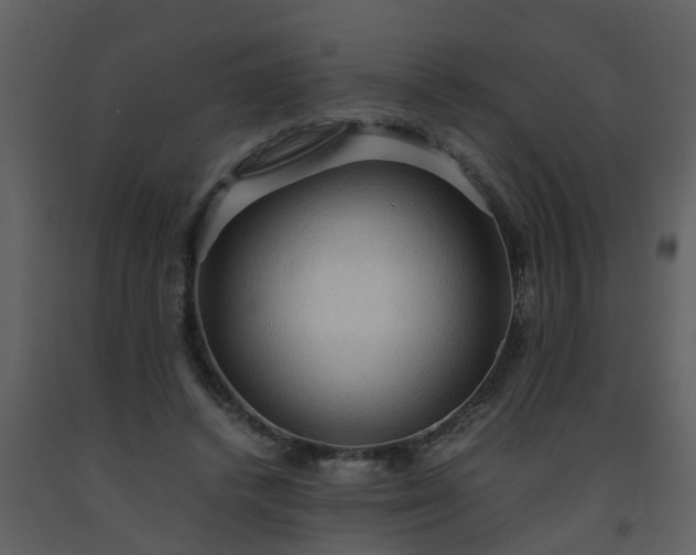 X0000093590448200710221526