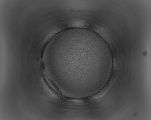 X0000093590449200710221526