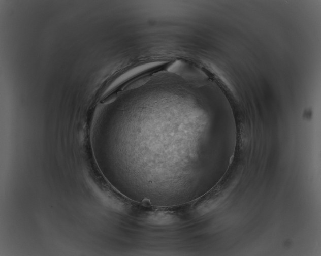 X0000093590451200710221526