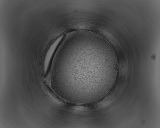 X0000093590453200710221526