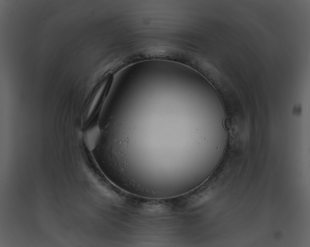 X0000093590454200710221526