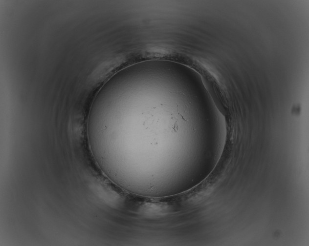 X0000093590455200710221526