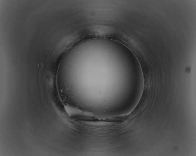 X0000093590456200710221526