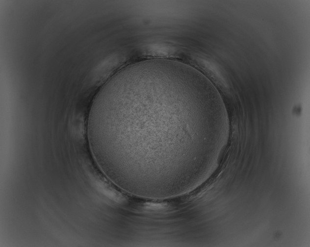 X0000093590457200710221526