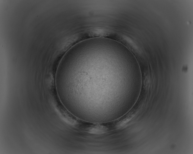 X0000093590459200710221526