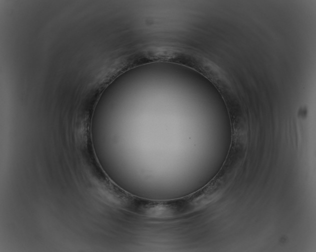 X0000093590460200710221526