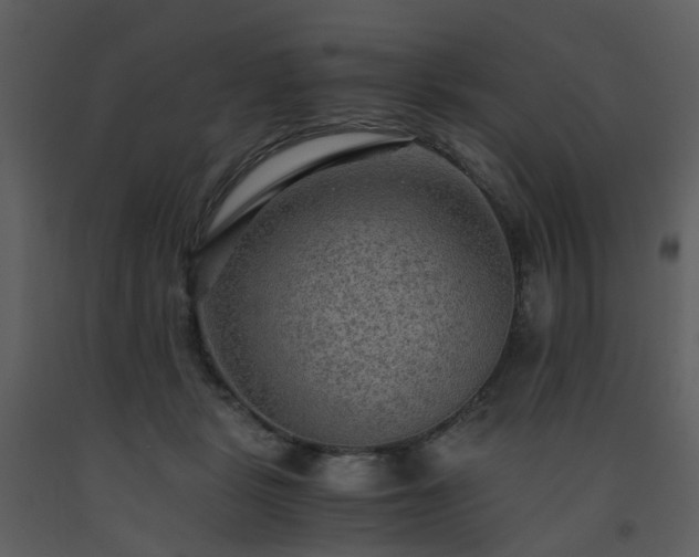 X0000093590461200710221527