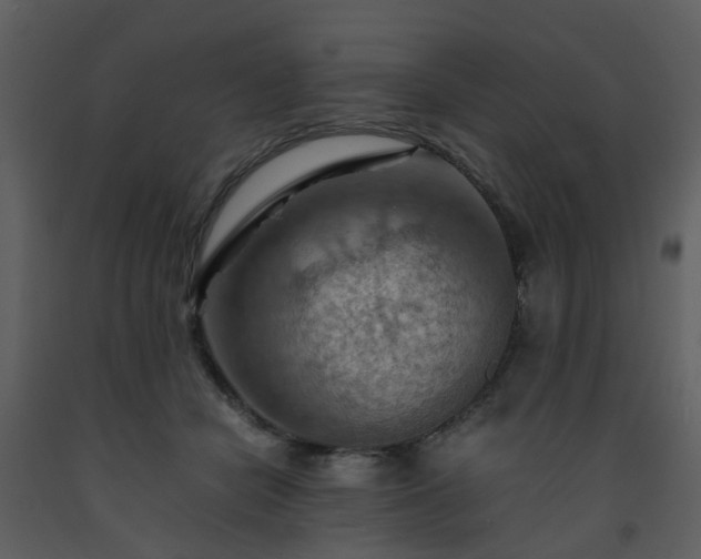 X0000093590462200710221527
