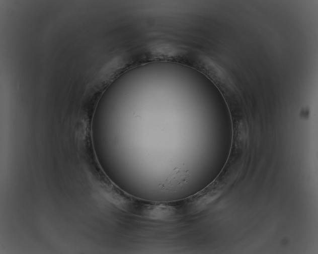 X0000093590463200710221527