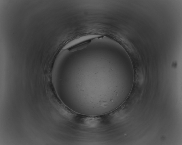 X0000093590465200710221527
