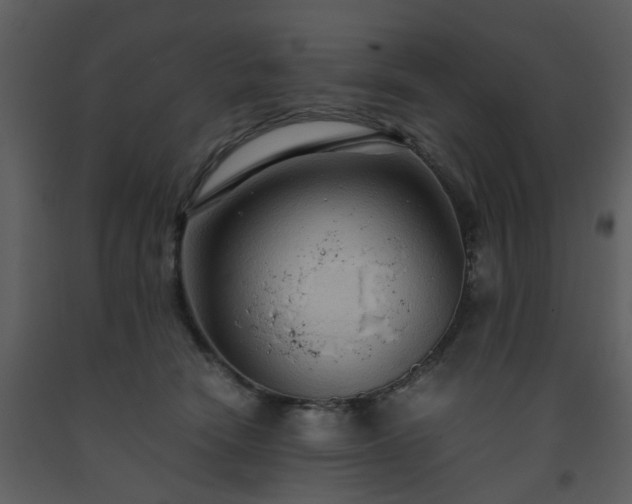 X0000093590466200710221527