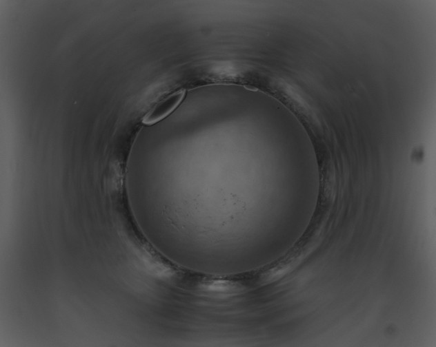 X0000093590467200710221527