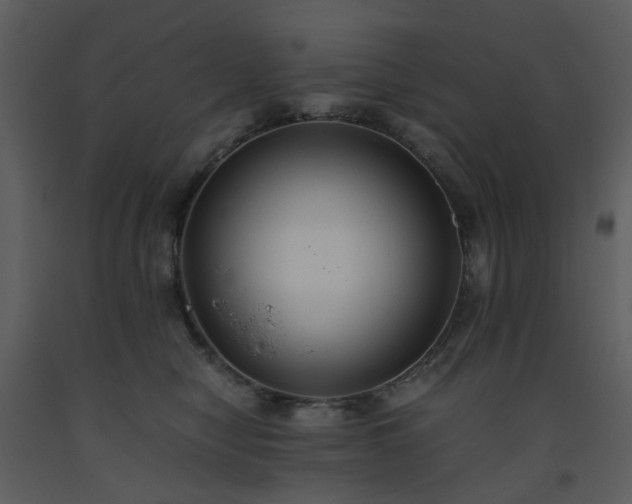 X0000093590470200710221527