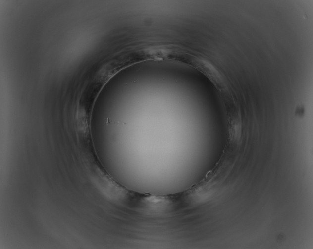 X0000093590477200710221527