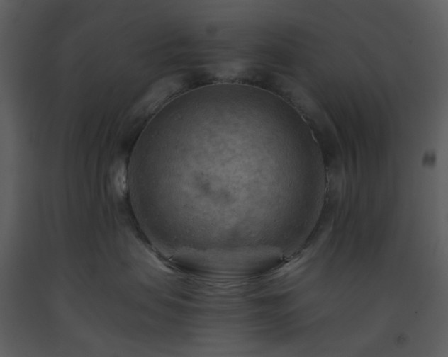 X0000093590479200710221527