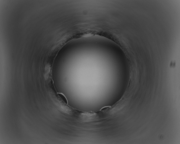 X0000093590480200710221527
