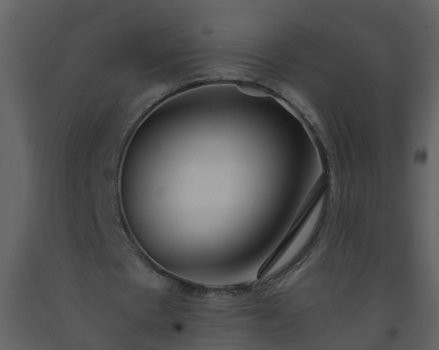 X0000093590481200710221526
