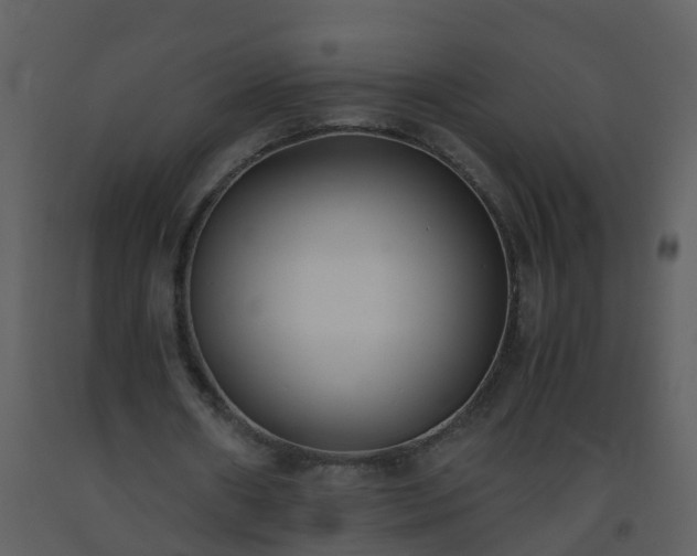 X0000093590482200710221526