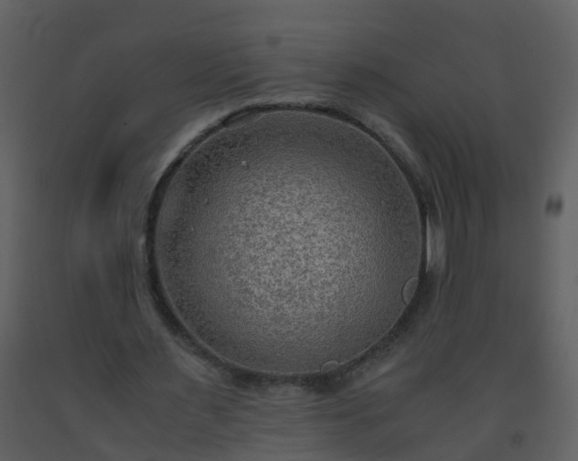 X0000093590483200710221526