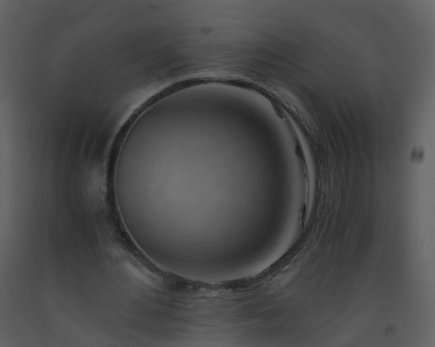 X0000093590484200710221526