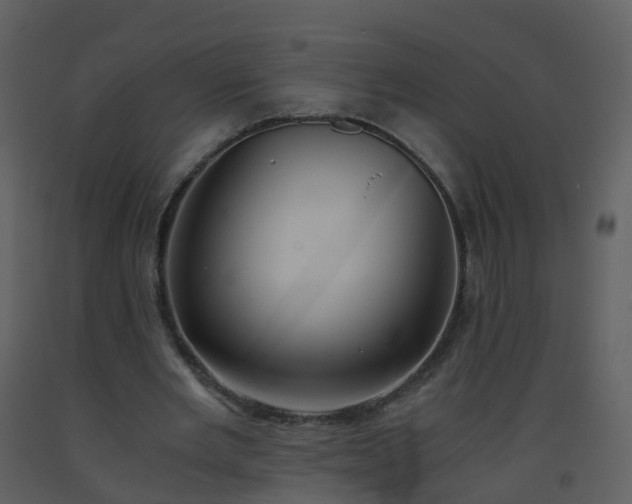 X0000093590485200710221526