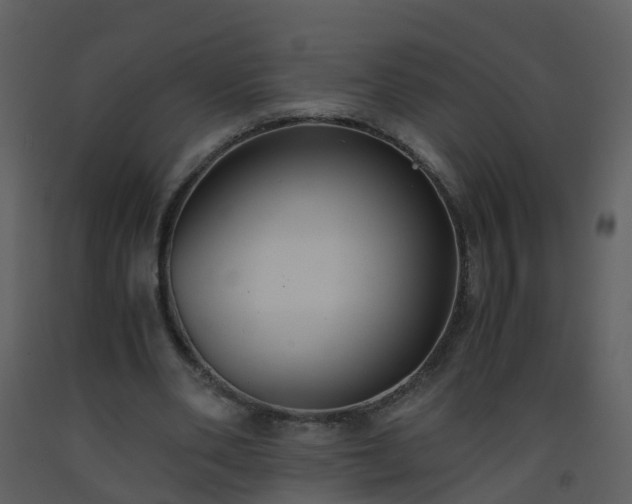 X0000093590486200710221526