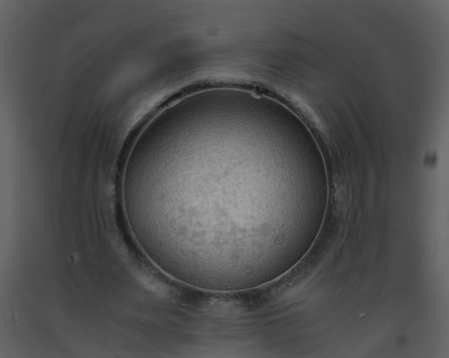 X0000093590487200710221526