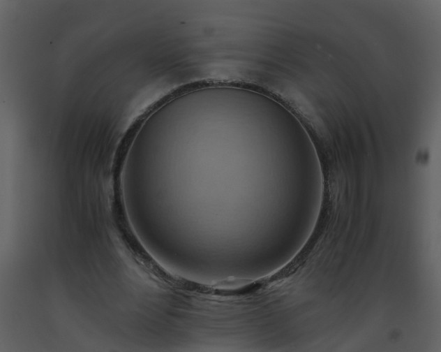 X0000093590488200710221526